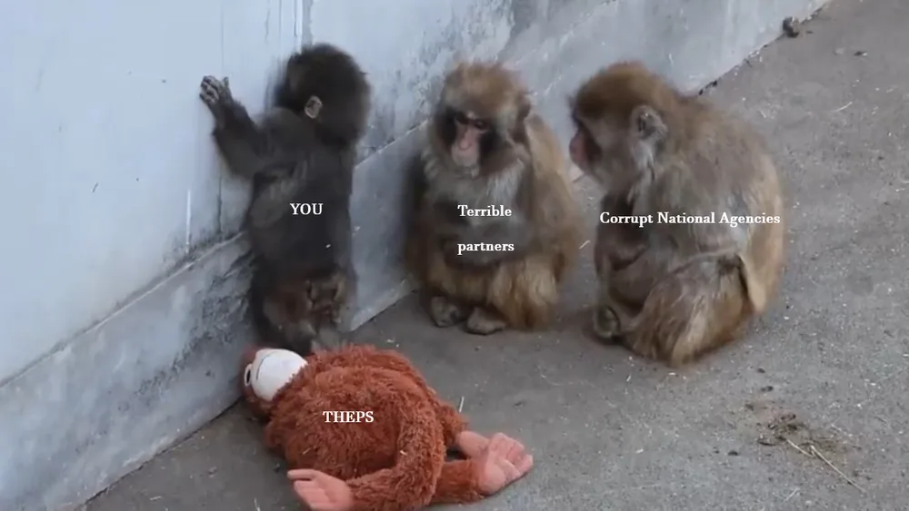 Meme on the baby macaque photo: the baby facing the wall is labelled “YOU”, the plush toy on the ground “THEPS”, and the two watching monkeys “Terrible partners” and “Corrupt National Agencies”.